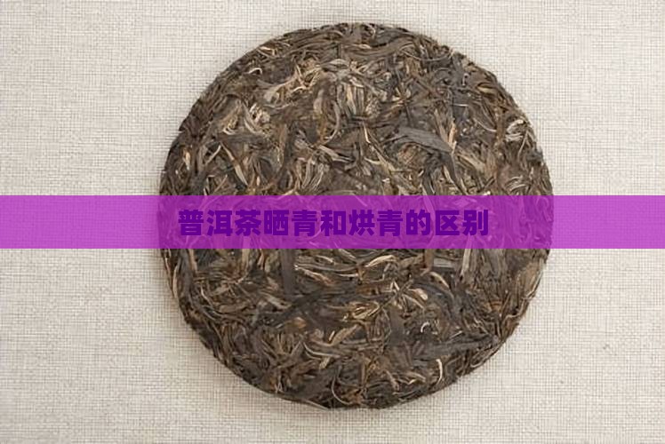 普洱茶晒青和烘青的区别