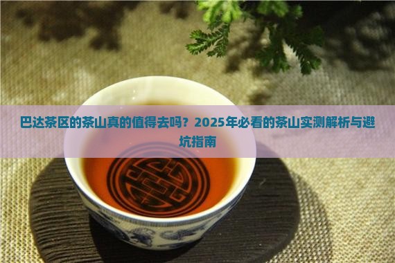 巴达茶区的茶山