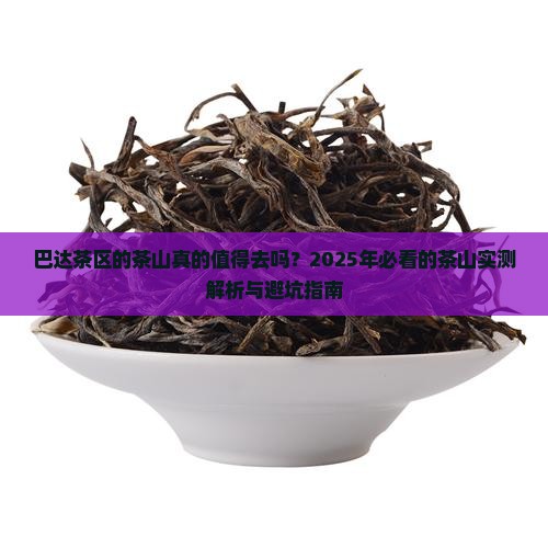 巴达茶区的茶山