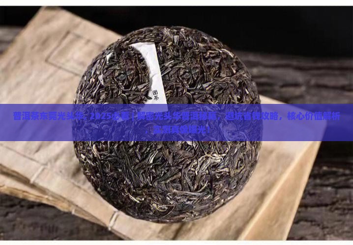 普洱茶东莞光头华