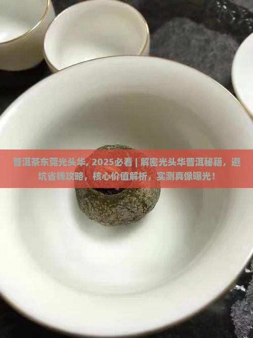 普洱茶东莞光头华
