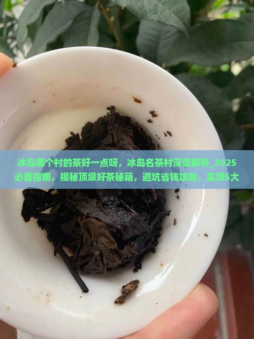 冰岛哪个村的茶好一点呀