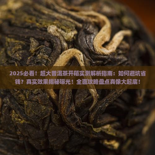 超大普洱茶开箱