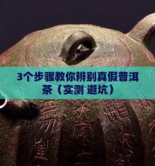 云南普洱茶加工技术书