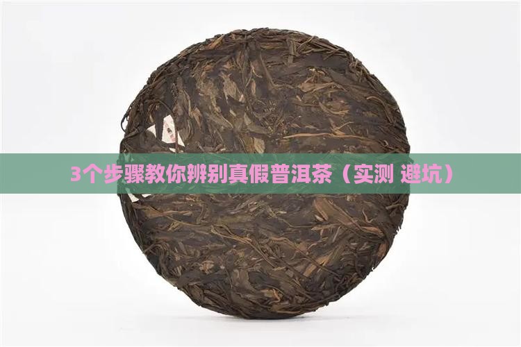 云南普洱茶加工技术书