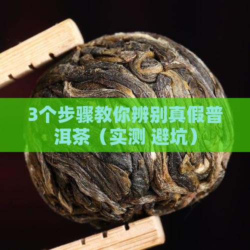 云南普洱茶加工技术书