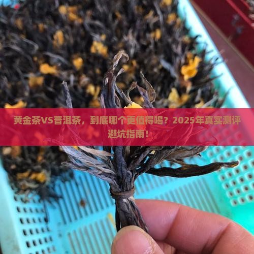黄金茶和普洱茶哪个好