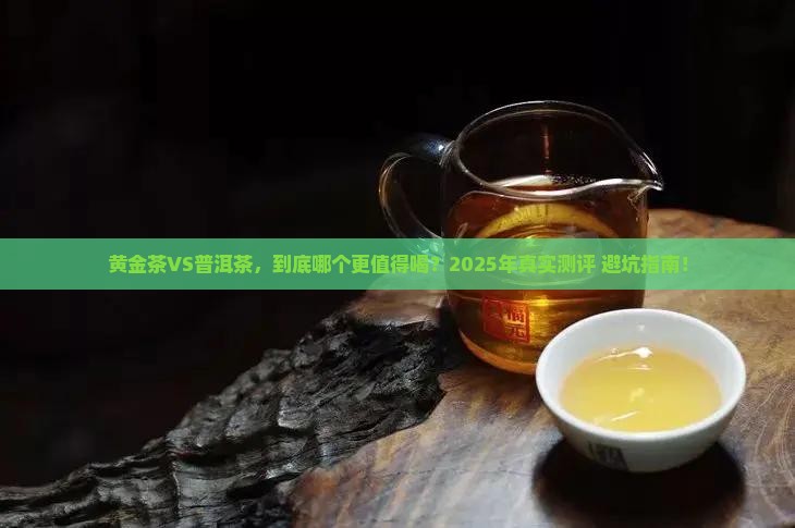 黄金茶和普洱茶哪个好