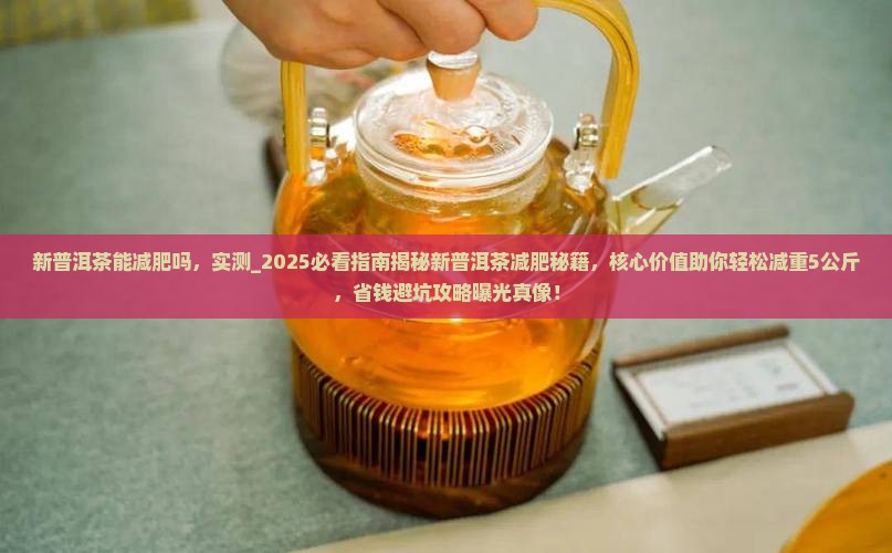 新普洱茶能减肥吗
