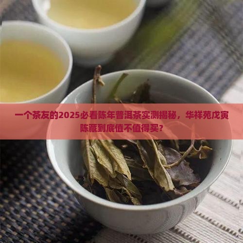 华祥苑戊寅陈藏普洱茶