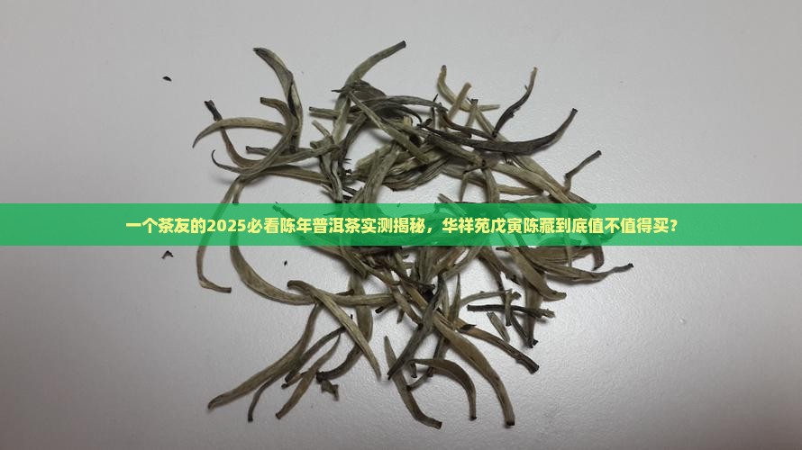 华祥苑戊寅陈藏普洱茶