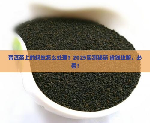 普洱茶上的蚂蚁怎么去除