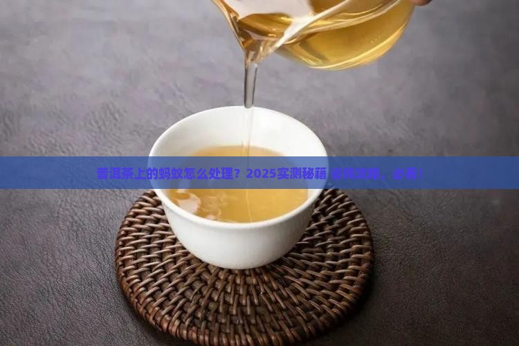普洱茶上的蚂蚁怎么去除