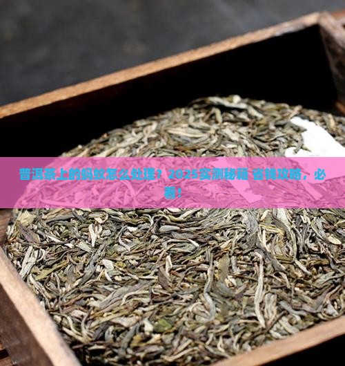 普洱茶上的蚂蚁怎么去除