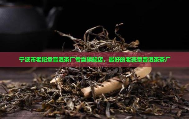 宁波市老班章普洱茶