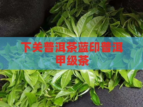 下关甲级蓝印普洱茶