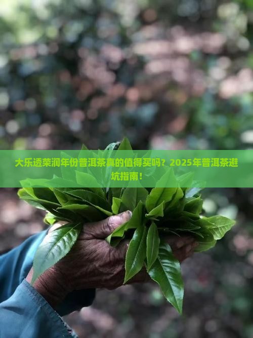 大乐透荣润年份普洱茶