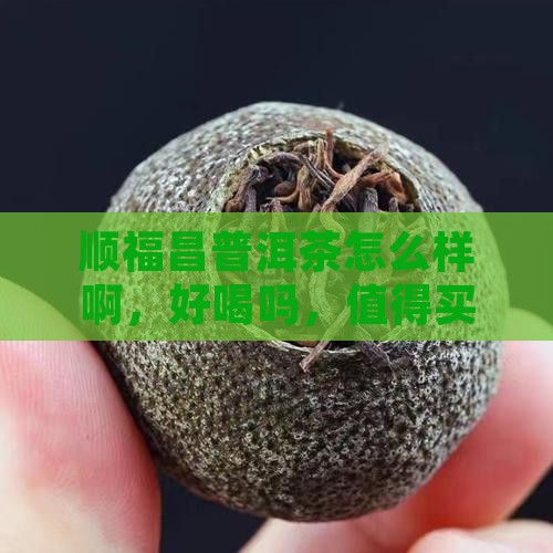 顺福昌普洱茶怎么样啊