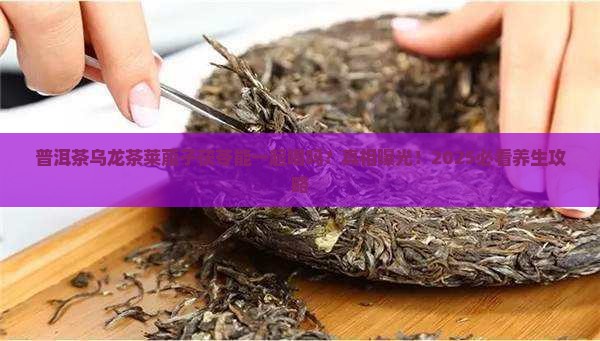 普洱茶乌龙茶莱菔子茯苓能