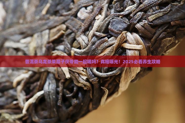 普洱茶乌龙茶莱菔子茯苓能