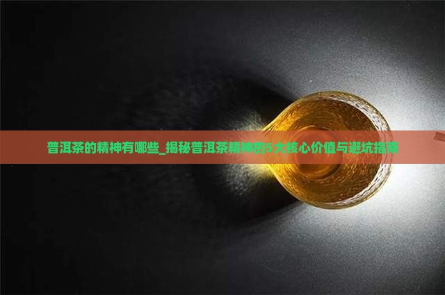 普洱茶的精神有哪些