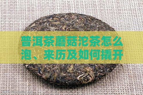 普洱茶蘑菇沱茶
