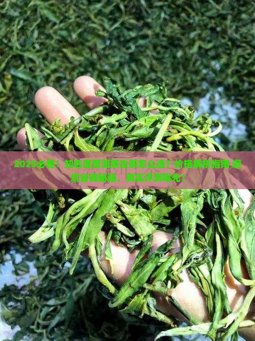 知名度普洱茶生茶