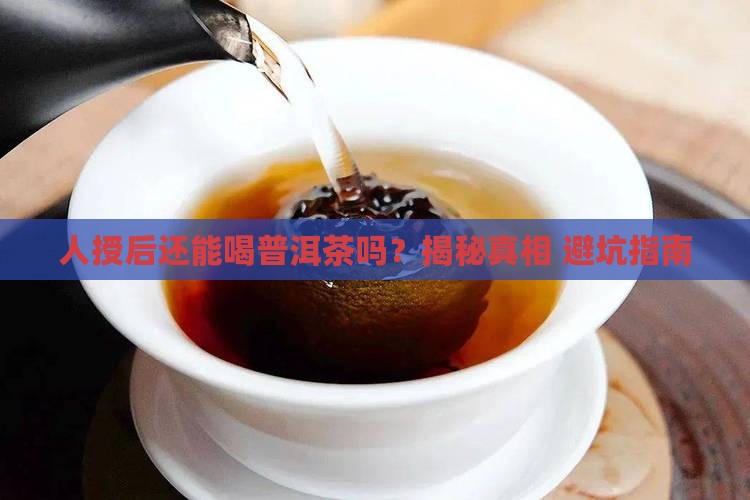 人授后可以喝普洱茶吗