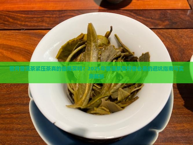 若月普洱茶紧压茶