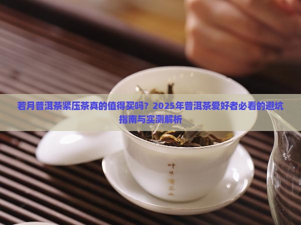 若月普洱茶紧压茶