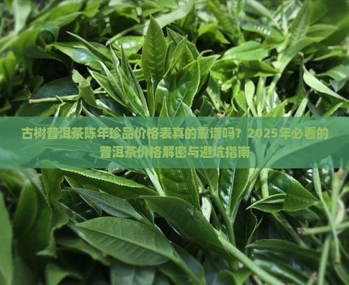 古树普洱茶陈年珍品价格表
