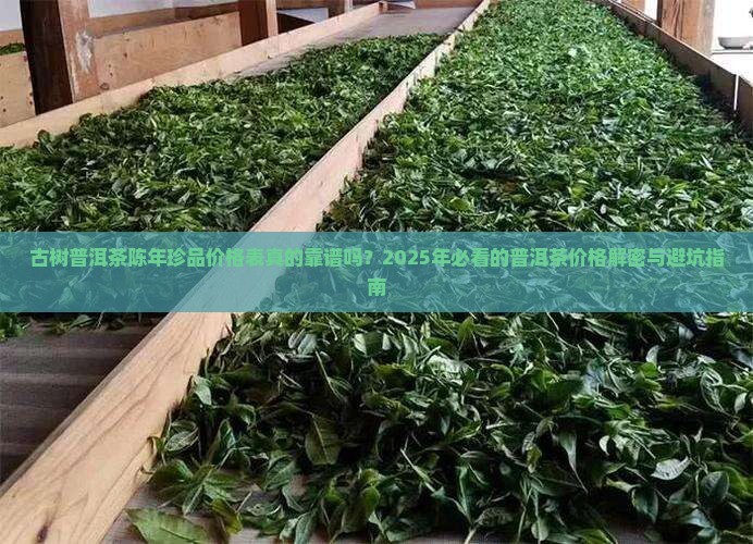 古树普洱茶陈年珍品价格表