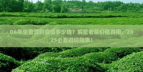 06年的生普洱什么价格