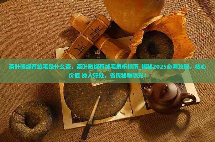 茶叶微绿有绒毛是什么茶