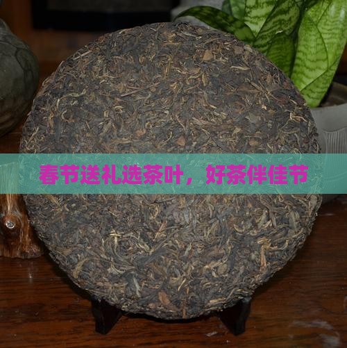 春节送什么茶好