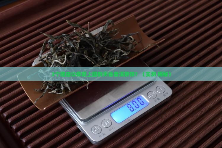 国韵天香普洱茶饼