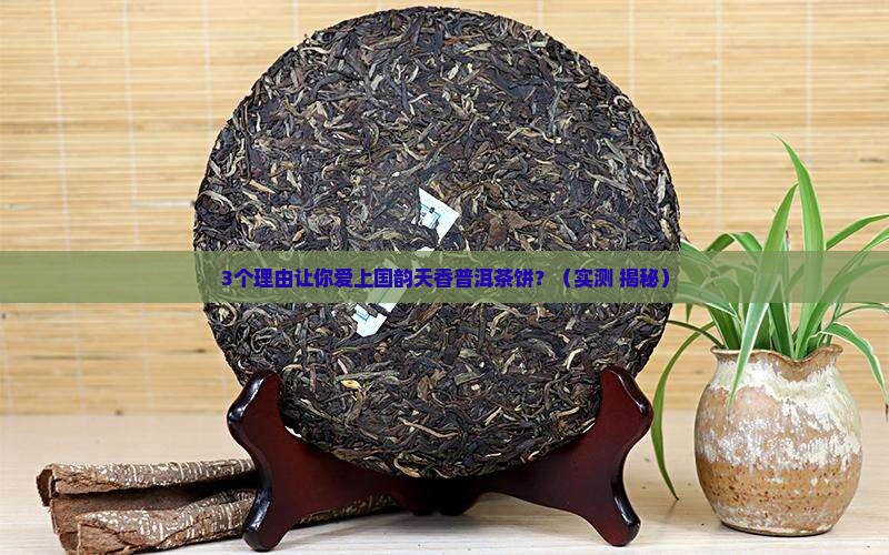 国韵天香普洱茶饼