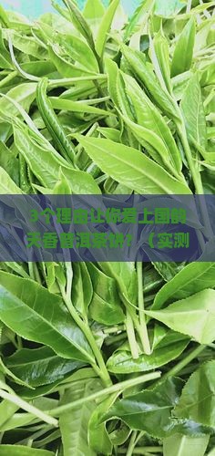 国韵天香普洱茶饼