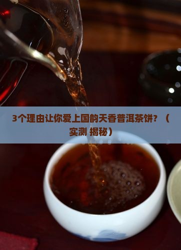 国韵天香普洱茶饼