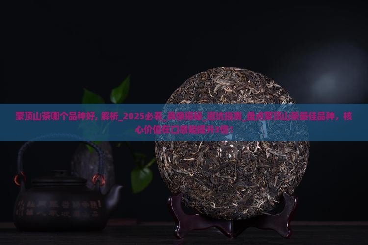 蒙顶山茶哪个品种好