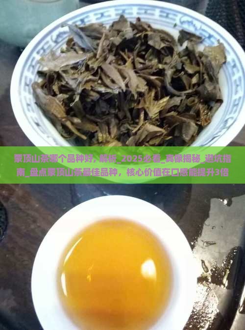 蒙顶山茶哪个品种好