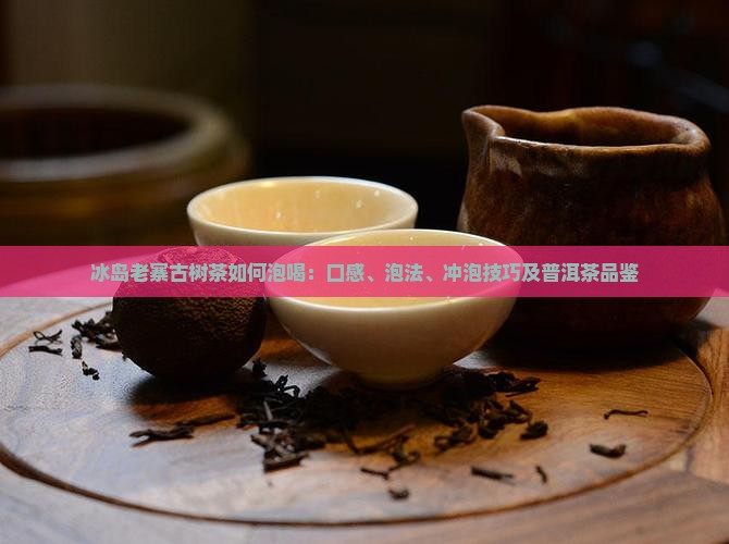 冰岛老寨古树茶如何泡喝