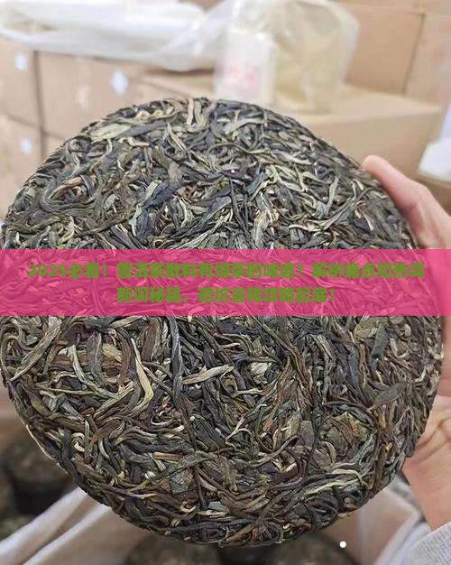 普洱茶散料有绿茶的味道
