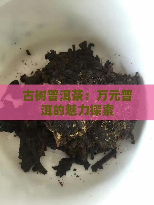 一万元古树普洱茶