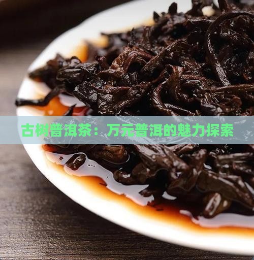 一万元古树普洱茶