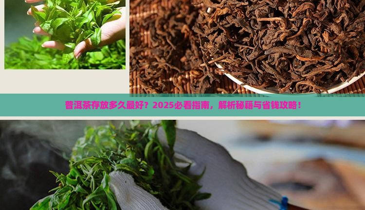 普洱茶需要存放多少时间