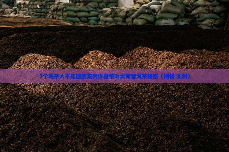 龙芮珍藏茶叶云南普洱茶