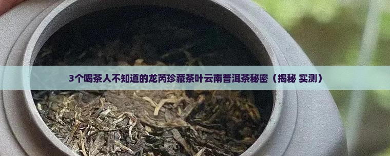 龙芮珍藏茶叶云南普洱茶