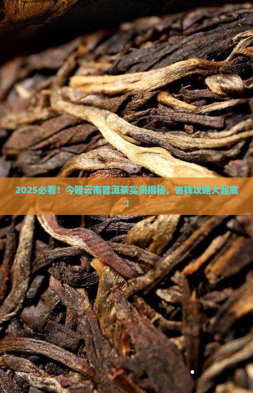 今隆云南普洱茶