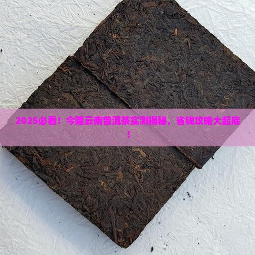 今隆云南普洱茶